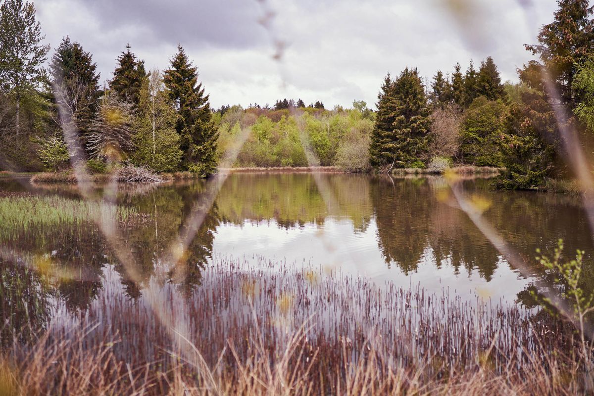 Le Relais Bernard Loiseau - Burgundy